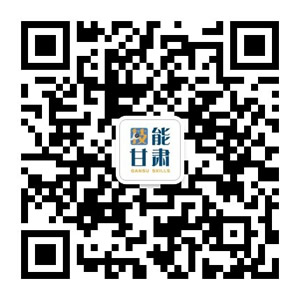 技能甘肅